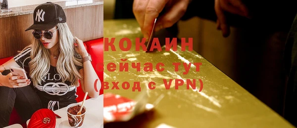 сатива Арсеньев
