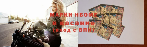 прущие грибы Аркадак