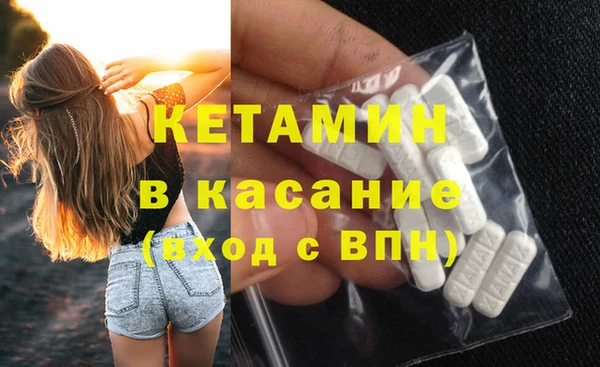 сатива Арсеньев