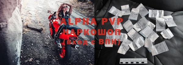 сатива Арсеньев