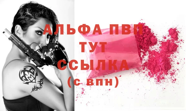 сатива Арсеньев
