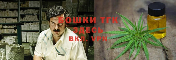 прущие грибы Аркадак
