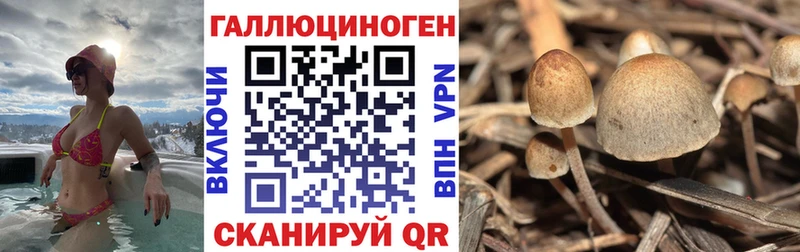 Псилоцибиновые грибы мицелий  цена   маркетплейс наркотические препараты  Учалы 